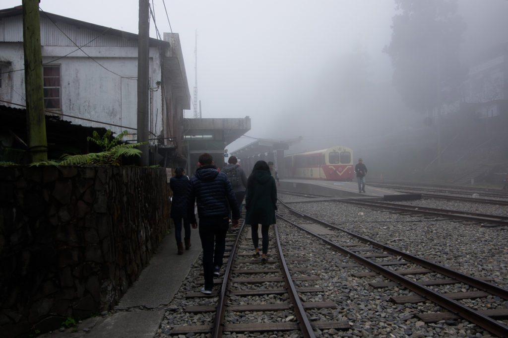 A Day Trip to Alishan | Living Life Crazy